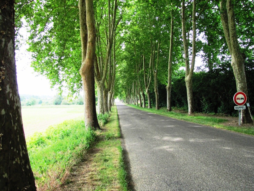 über die lange Alle erreichten wir Nogaro