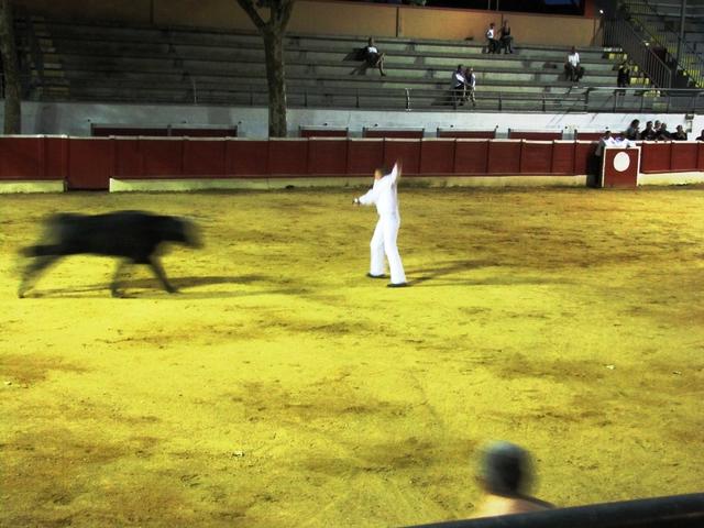 der Stier rennt auf den Torero zu