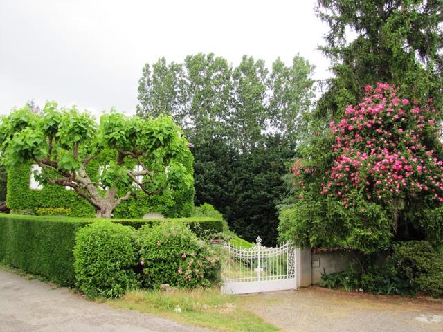 diverse Häuser besitzen auch einen schönen Garten