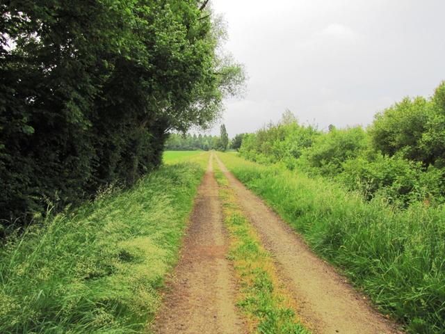 bis Aire sur l'Adour keine Einkehrmöglichkeiten. Der Weg führt durch Wald, Wiesen und Äcker