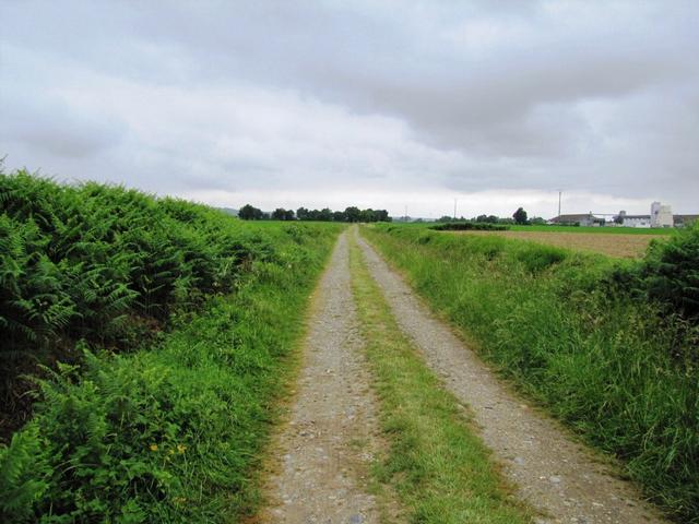 danach weiter Richtung Aire sur l'Adour