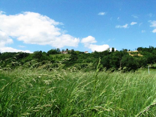 Blick zurück nach Pimbo