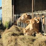 bei einem Bauernhof bevor man in das Tal des Luy de France runterläuft