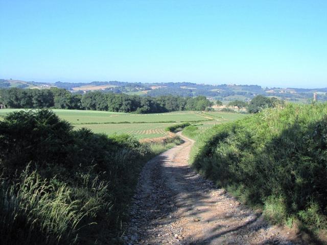 es geht runter ins Tal des Luy de France