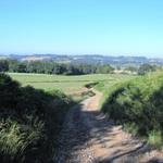 es geht runter ins Tal des Luy de France