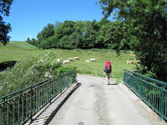 Mäusi hat das Béarn erreicht