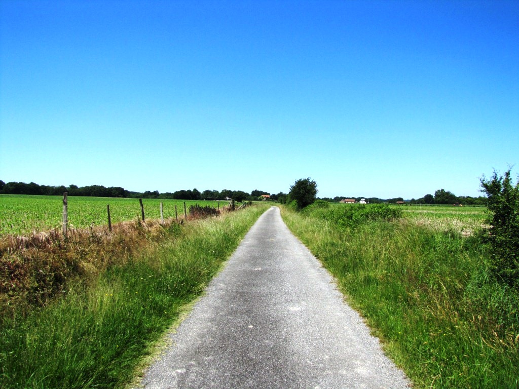 der Weg ist das Ziel