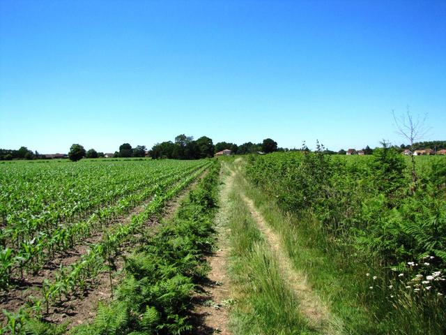 weiter führt uns der Weg nach Pomps. Das Béarn wurde wegen der Sauce béarnese bekannt