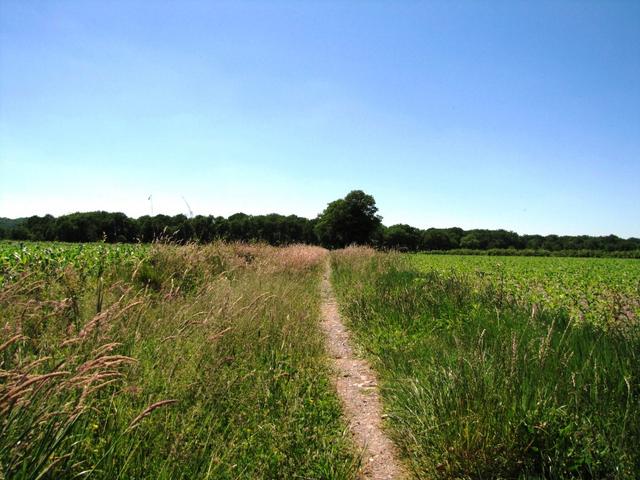 auf dem Weg Richtung Castillon