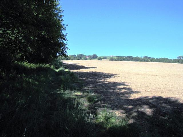 entweder führt der Weg an kahlen Äcker vorbei,