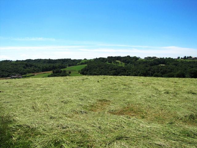 auch das Béarn ist ein schönes Gebiet