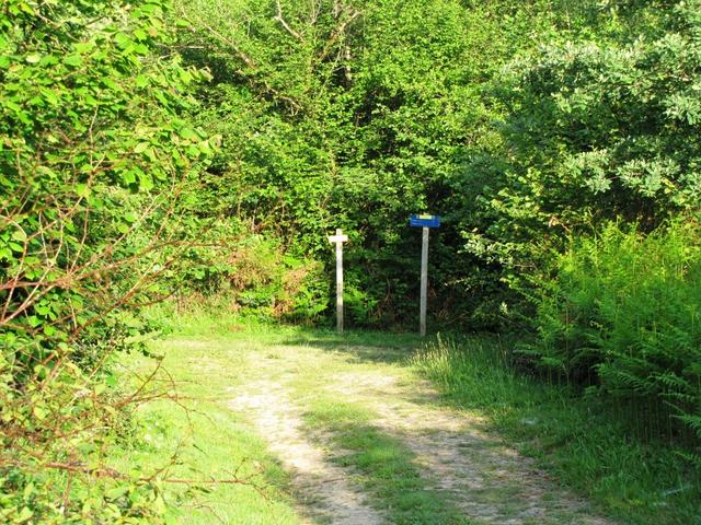 eine Wegkreuzung mitten im Wald