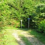 eine Wegkreuzung mitten im Wald