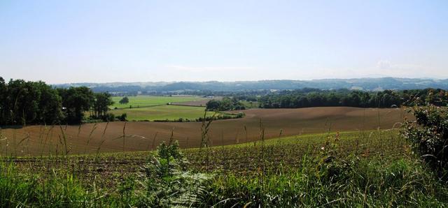 Breitbildfoto auf dem Weg nach Aroue