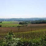 Breitbildfoto auf dem Weg nach Aroue