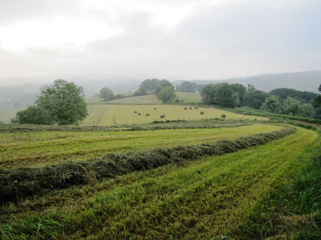 das schöne Baskenland liegt noch im Nebel