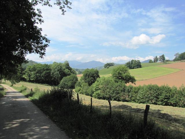 auf dem Weg nach Saint Jean le Vieux