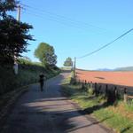 wir sind auf der Route Napoléon auf dem Weg nach Roncesvalles