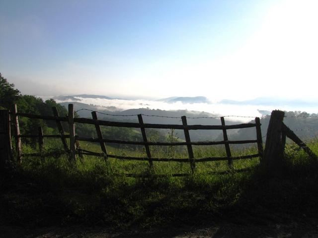 Bergwandererfahrung lässt grüssen. Im Tal noch Nebel...