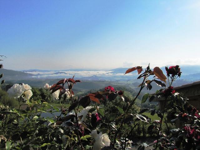 Blick von Huntto (Pilgerunterkunft) runter nach Saint Jean Pied de Port 500 m.ü.M.