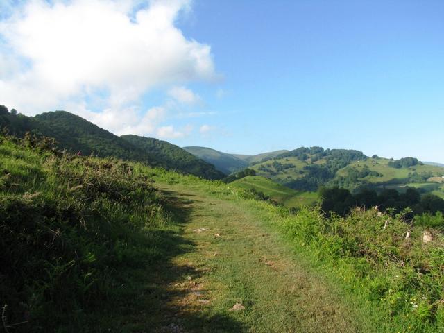 ein richtiger Wanderweg. Unser Bergwanderherz schlägt vor Freude Purzelbäume