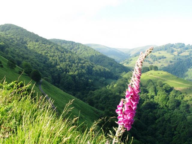 dort weit oben ist der Col de Lepoeder