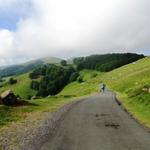 auf einer Asphaltstrasse geht es aufwärts zur Auberge Orisson