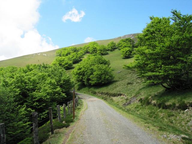 kurz vor dem Col de Lepoeder