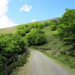 kurz vor dem Col de Lepoeder