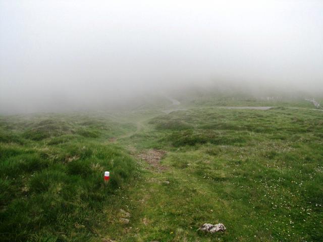 auf dem Weg zum Ibañeta Pass empfängt uns ein bisschen Nebel