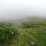 auf dem Weg zum Ibañeta Pass empfängt uns ein bisschen Nebel