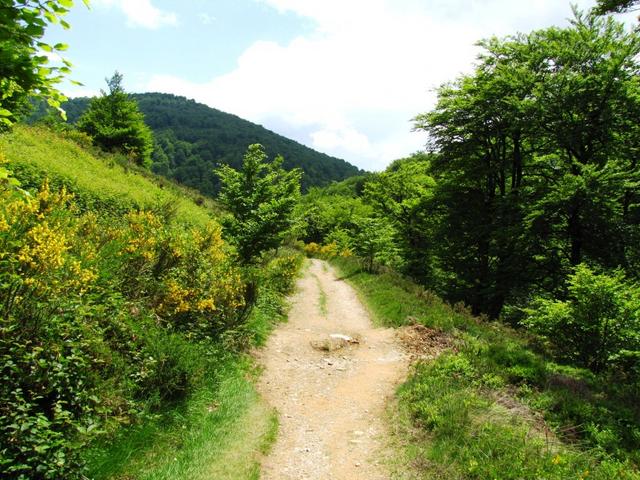 noch ein paar Schritte und wir haben Roncesvalles erreicht