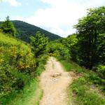 noch ein paar Schritte und wir haben Roncesvalles erreicht