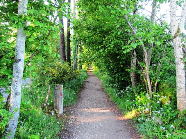 der Weg ist das Ziel