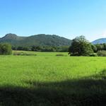 Breitbildfoto auf dem Weg nach Aurizberri-Espinal. Natur pur