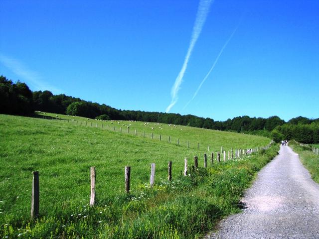 nach Aurizberri-Espinal tauchen wir wieder in die Natur ein