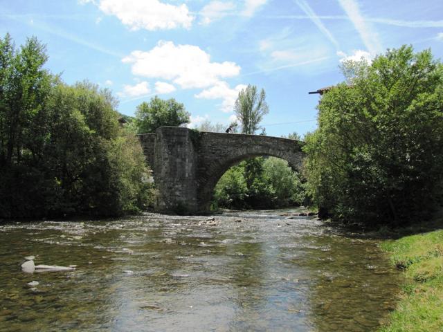 ein Tier mit Tollwut musste drei mal die Brücke überqueren, dann war es geheilt