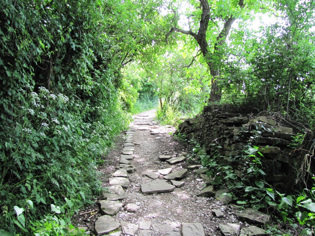 der Camino meidet wenn möglich die Asphaltstrasse. Sehr schön