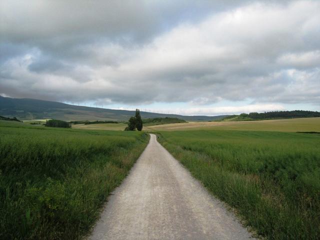 wie hat sich doch die Landschaft innerhalb von nur einem Tag geändert