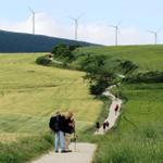 viele Pilger sind heute unterwegs. Der Alto del Perdón rückt näher. Man sieht schon die Windmühlen