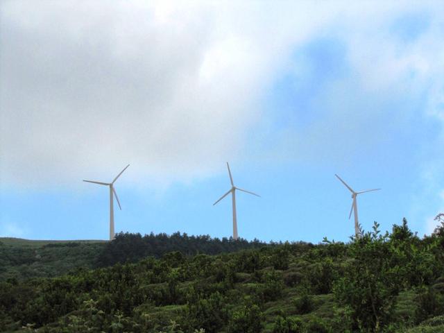 die Windräder werden immer grösser