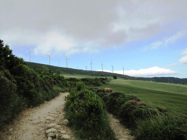 je höher man steigt, je kräftiger zieht der Wind. Das rauschen der Windräder wird immer lauter