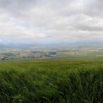 Breitbildfoto vom Pamplonischer Becken mit Pamplona