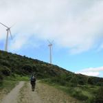 der Wind bläst richtig stark. Die Windräder stehen am richtigen Ort