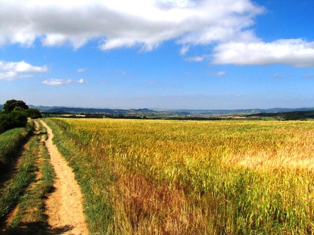 was für ein Tag! was für ein Wetter! was für ein schöner Weg!