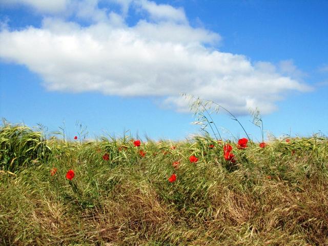 einfach schön diese Natur