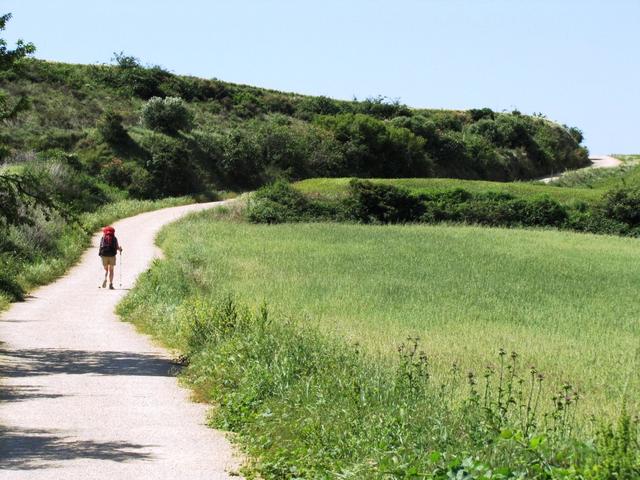 wir sind auf dem Navarrischen Teil des Camino Francés