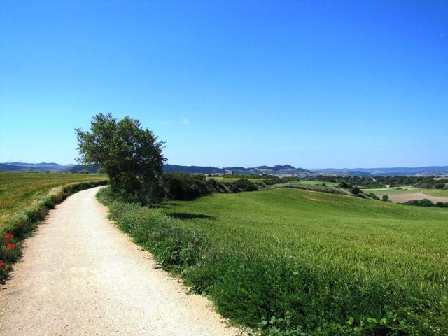 der Aragonesische Camino Francés wird auch Via Tolosana genannt, der von Arles her kommt