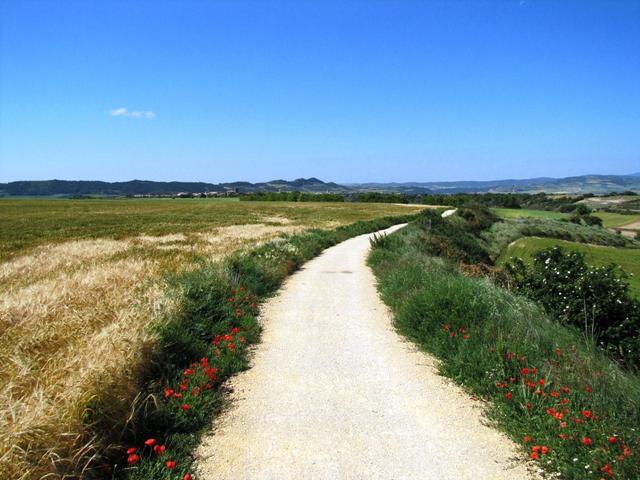 zum Glück sind die Wege in Spanien bis hier, meistens auf Naturwege und nicht auf Asphaltstrassen