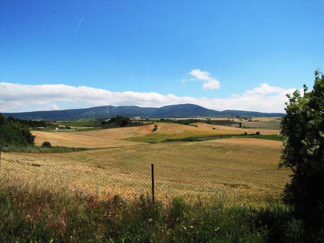 am Horizont sieht man den Bergkamm des Alto del Perdon